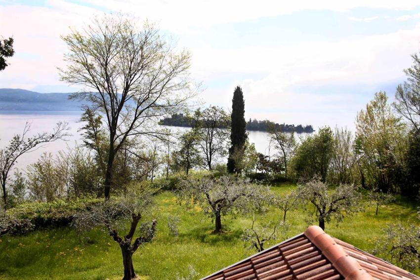 Punta Del Corno Agriturismo San Felice del Benaco Ngoại thất bức ảnh